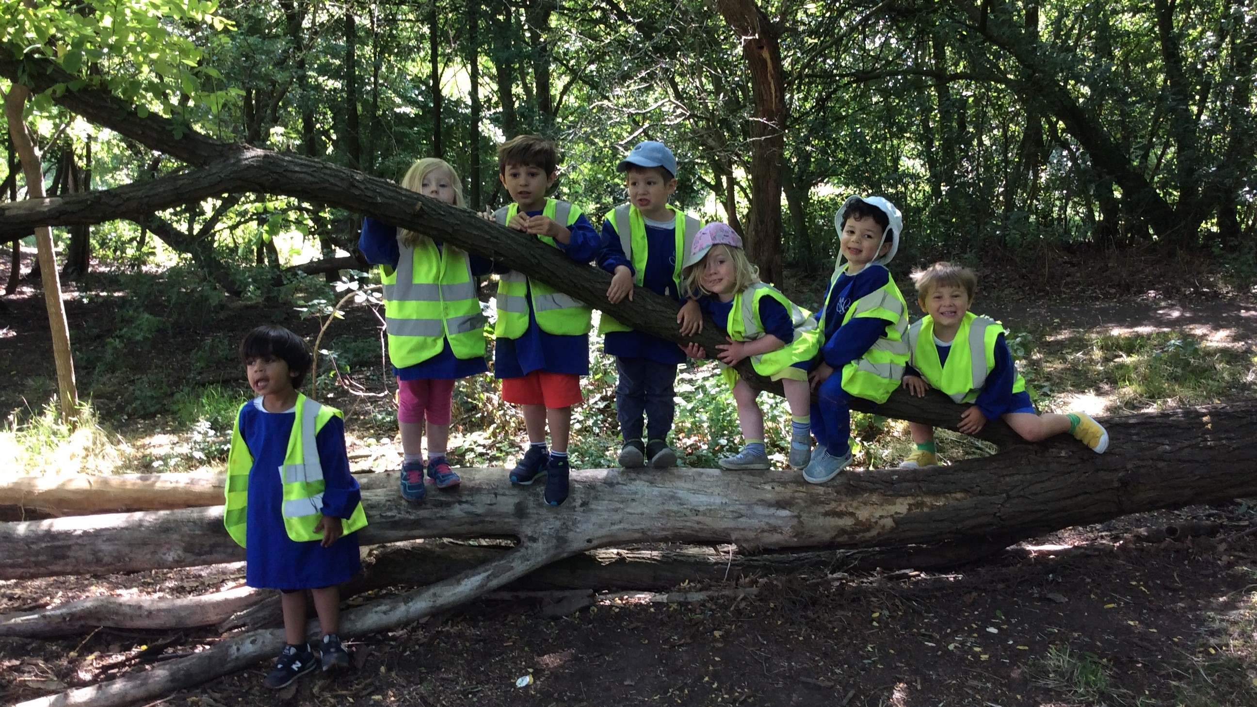 The Butterfly Preschool - Clapham